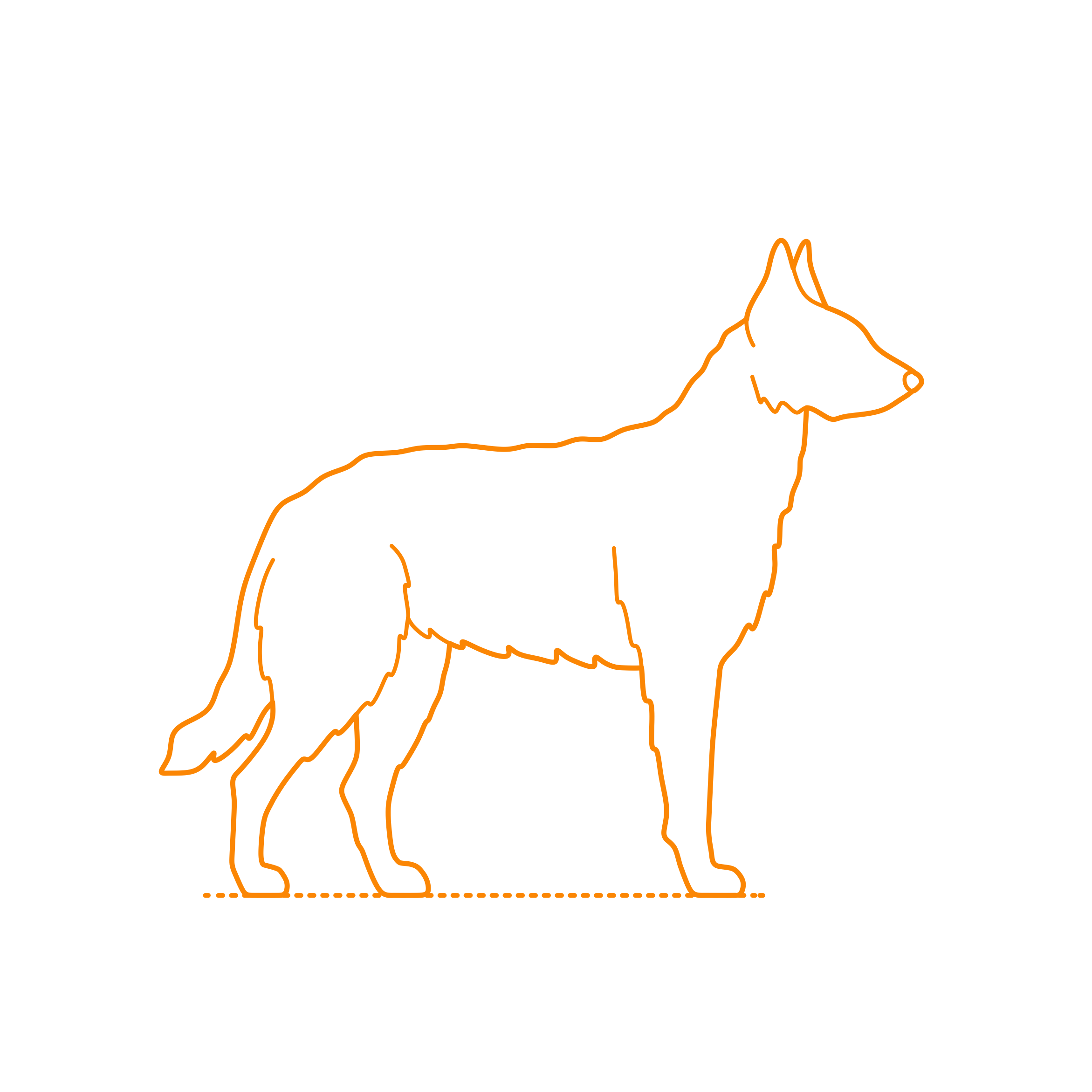 Animals Dogs Belgian Laekenois Outline Svg Vector Free Vectors
